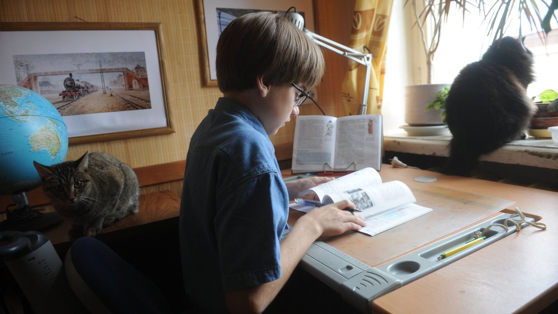 Мальчик читает учебник по истории - РИА Новости, 1920, 16.02.2023