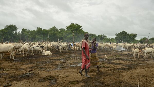 Пастухи и их стадо в лагере близ города Румбек в Южном Судане. Архивное фото
