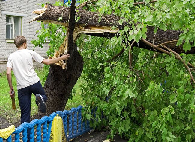 Последствия ураганного ветра