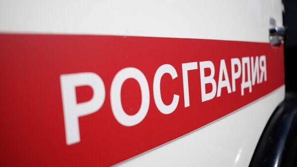 Владельцев оружия в России обязали сообщать о его утере в Росгвардию