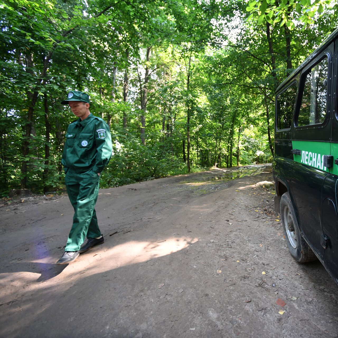 День работников леса в России - РИА Новости, 17.09.2023