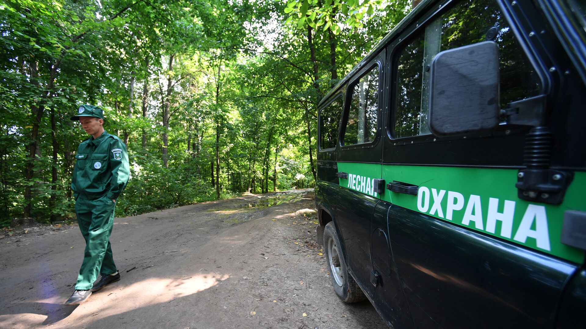 Федеральный государственный Лесной надзор Лесная охрана