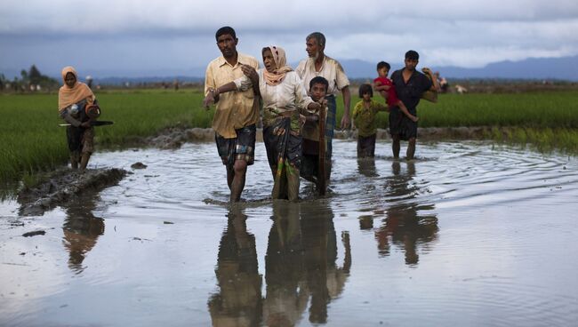 Люди из народности рохинджа проходят рисовые поля после перехода бангладешской границы. 1 сентября 2017