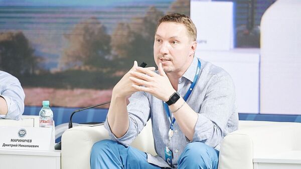 Интернет-омбудсмен, глава компании Radius Group Дмитрий Мариничев на фестивале Территория смыслов 2017