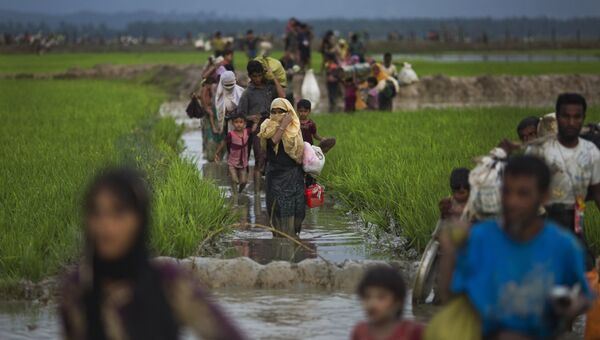Люди из народности рохинджа проходят рисовые поля после перехода бангладешской границы