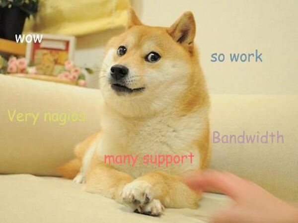 Мем Doge (доге) Мем Doge (доге)