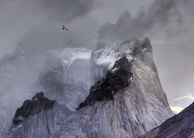 Работа фотографа Ben Hall Condor over mountain, занявшая первое место в категории Птицы в окружающей среде в конкурсе Bird Photographer of the Year 2017