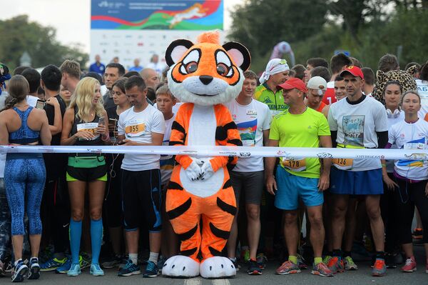 В забеге на дистанции 1 и 5 километров приняли участие все желающие поддержать редких диких кошек