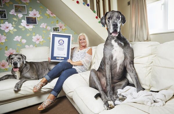 Фредди — самый высокий пес в мире. Из нового издания Книги рекордов Гиннесса