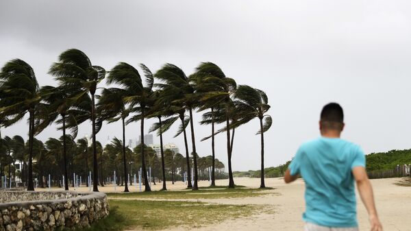 Последствия урагана Ирма в городе Майами-Бич, Флорида. 9 сентября 2017