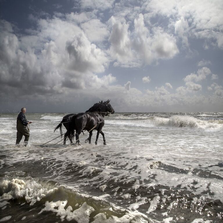 Работа фотографа из Нидерландов Saskia Boelsums Dutch Landscape в категории Пейзаж/природа, вошедшая в шорт-лист Felix Schoeller Photo Award 2017