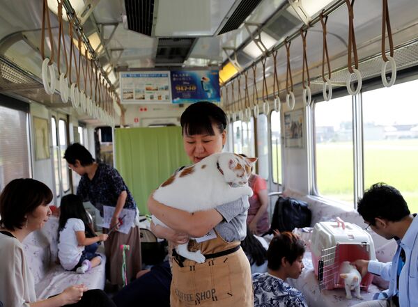 Гражданский активист держит кота в котопоезде в городе Огаки, Гифу, Япония. 10 сентября 2017