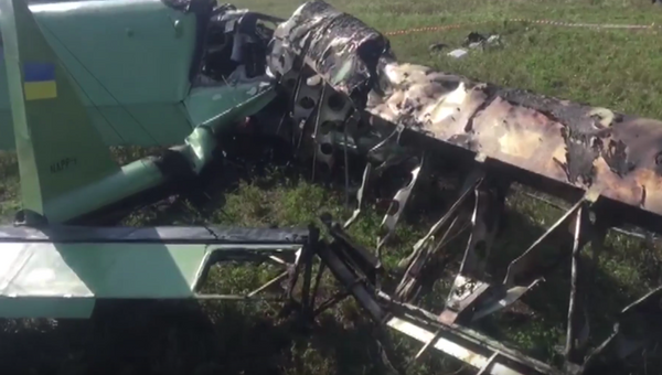 Самолет, разбившийся в Харьковской области. Скриншот с видео ГУ Национальной полиции Харьковской области.