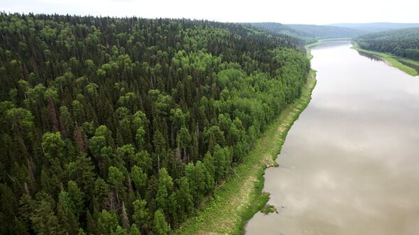 ОНФ предложил меры для улучшения экологии в Сибири и на Дальнем Востоке