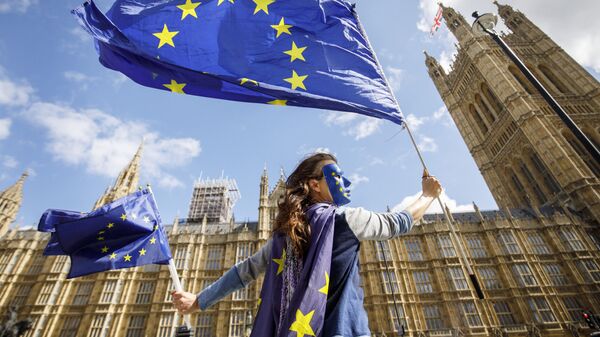 Акция протеста против прекращения членства Великобритании в ЕС у здания парламента в Лондоне