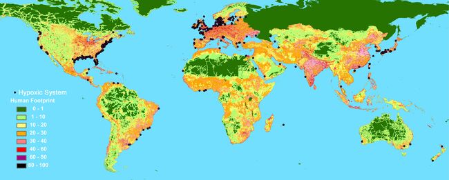 Прибрежные зоны с пониженным содержанием кислорода 