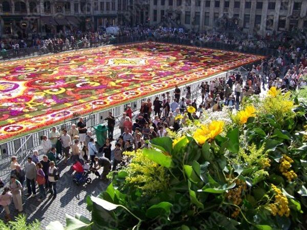 Цветочный ковер на главной площади Брюсселя