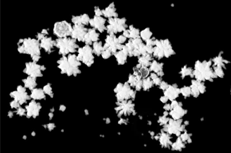 Наночастицы из золота под микроскопом