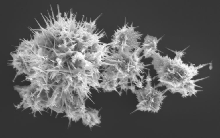 Наночастицы из золота под микроскопом