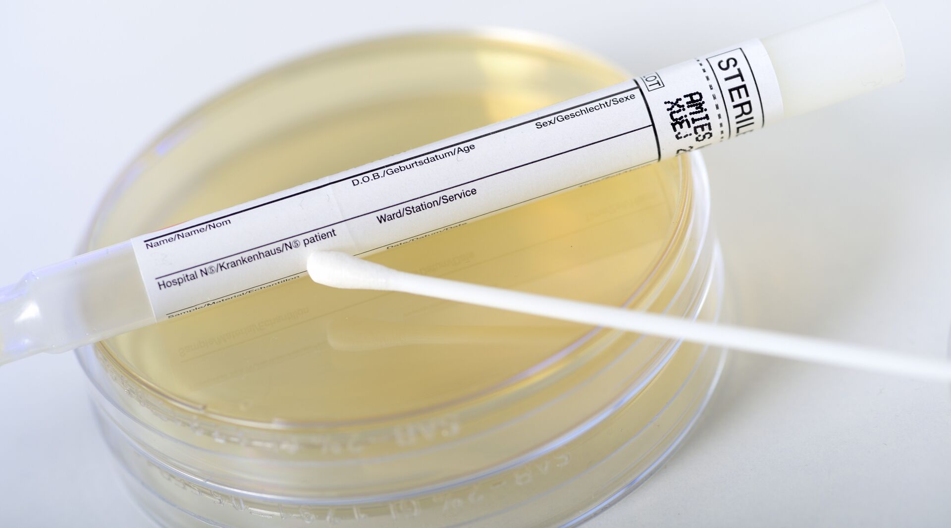 Проведение ДНК-исследования Проведение ДНК-исследования - РИА Новости, 1920, 19.11.2025