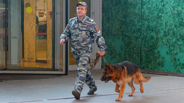 Кинолог с собакой после сообщения о минировании в Москве