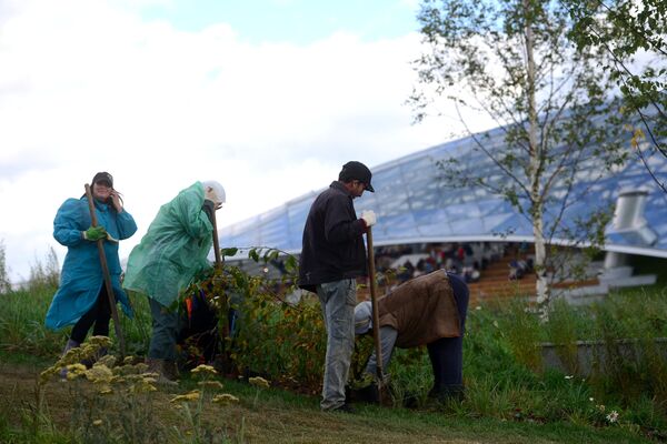 Рабочие сажают цветы в природно-ландшафтном парке Зарядье в Москве