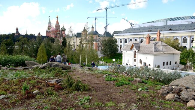 Зелень в природно-ландшафтном парке Зарядье в Москве