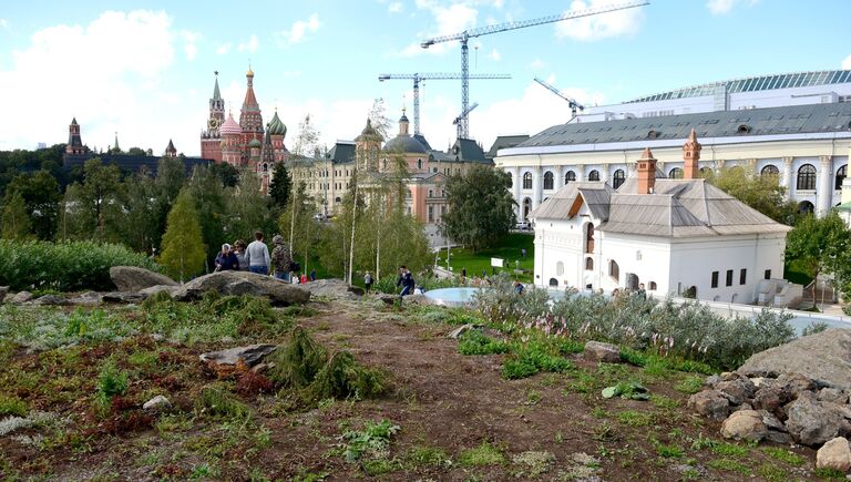 Зелень в природно-ландшафтном парке Зарядье в Москве