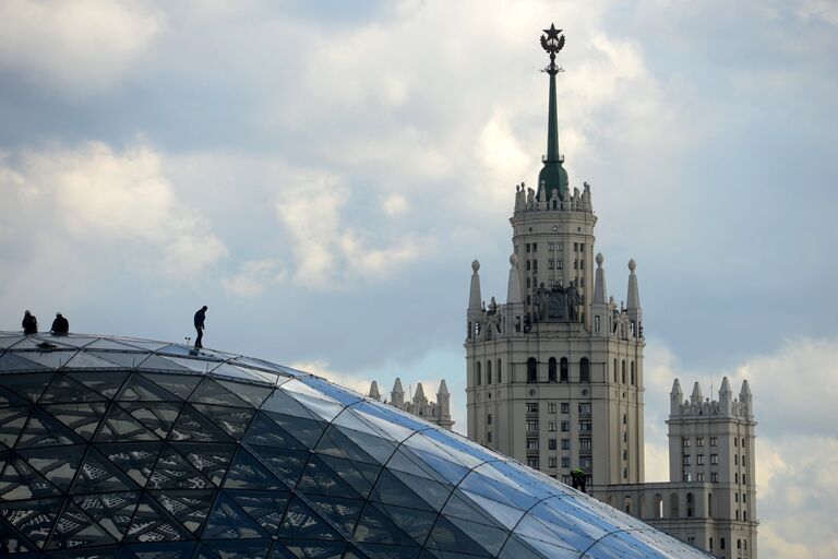 Стеклянная кора в природно-ландшафтном парке Зарядье в Москве