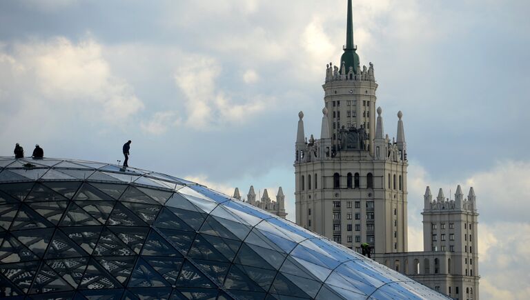 Стеклянная кора в природно-ландшафтном парке Зарядье в Москве