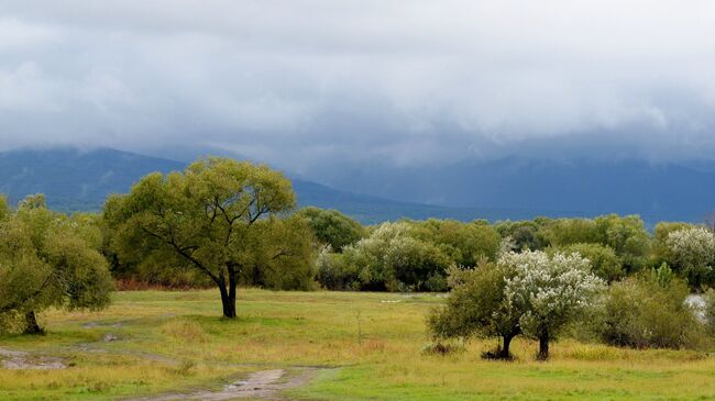 Остров Большой Уссурийский в Хабаровском крае. Архивное фото