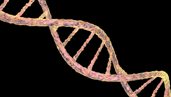 Иллюстрация процесса денатурации и ренатурации 