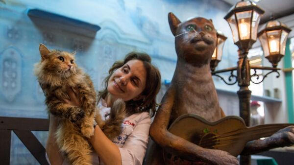 Ветеринарный врач Эрмитажа Анна Кондратьева с эрмитажным котом в котокафе Республика кошек