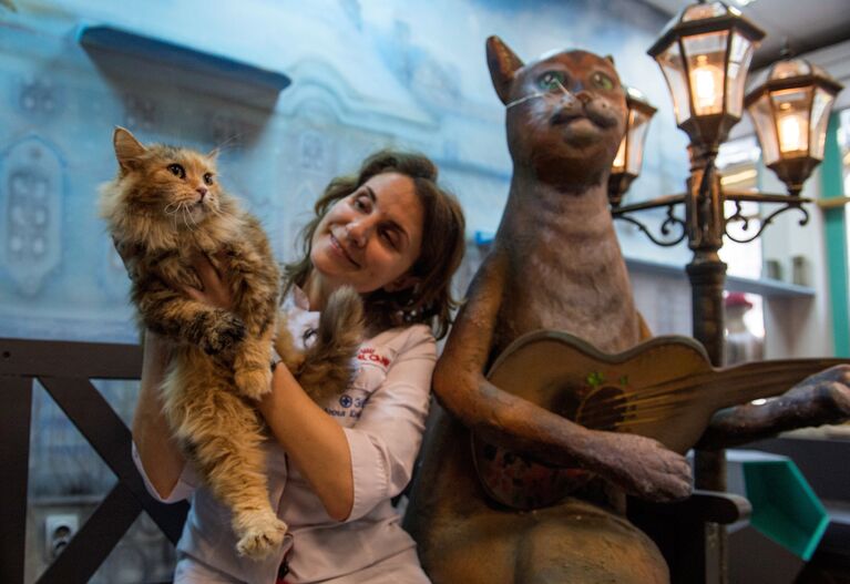 Ветеринарный врач Эрмитажа Анна Кондратьева с эрмитажным котом в котокафе Республика кошек