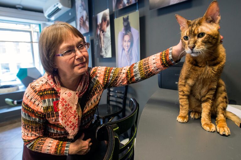 Посетительница котокафе Республика кошек в Санкт-Петербурге, где ежемесячно проходят благотворительные акции Все оттенки кошачьего по раздаче кошек из городских приютов в добрые руки.