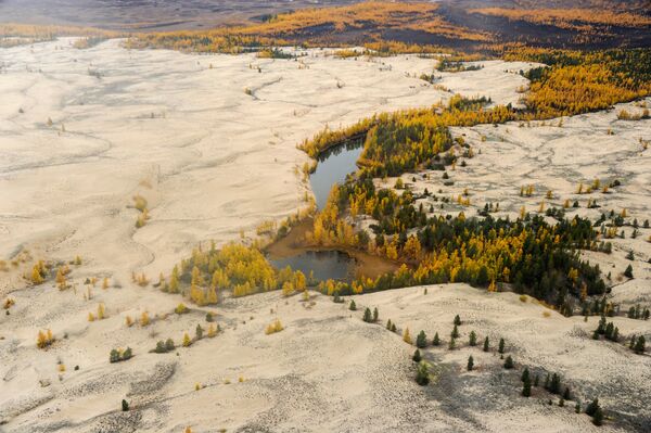 Вид на Чарские пески в Чарской долине Забайкальского края