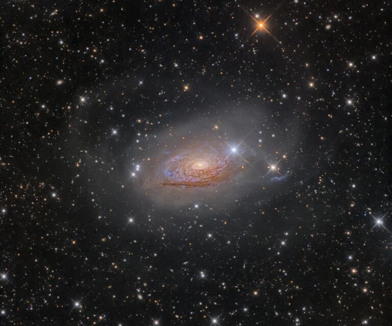 Снимок фотографа Олега Брызгалова из Украины M63 Star Streams and the Sunflower Galaxy, победивший в категории Галактики в фотоконкурсе Insight Astronomy Photographer of the Year 2017