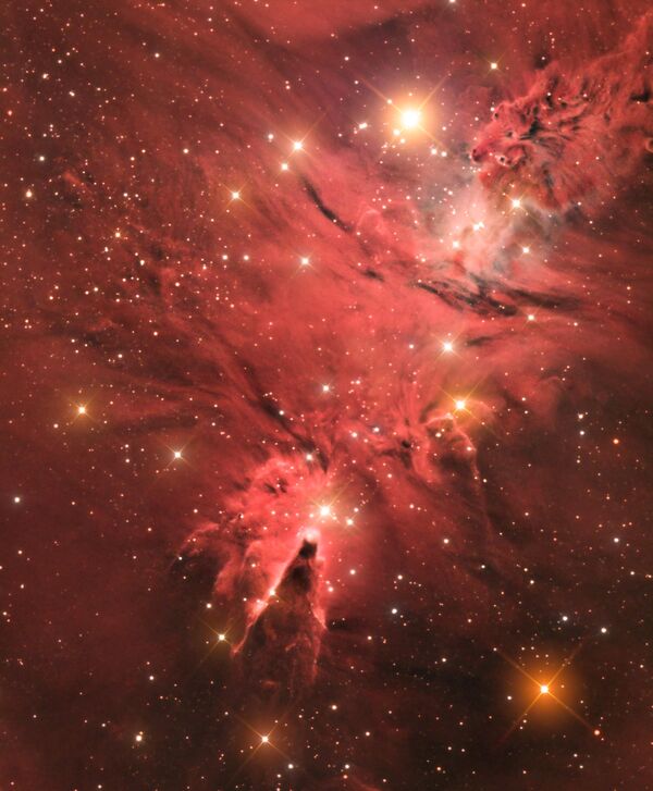 Снимок фотографа Джейсона Грина из Гибралтара The Cone Nebula (NGC 2264), получивший специальный приз за лучший дебют в фотоконкурсе Insight Astronomy Photographer of the Year 2017