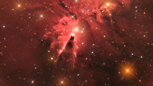 Снимок фотографа Джейсона Грина из Гибралтара The Cone Nebula (NGC 2264), получивший специальный приз за лучший дебют в фотоконкурсе Insight Astronomy Photographer of the Year 2017