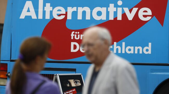 Логотипом партии Альтернатива для Германии. Архивное фото