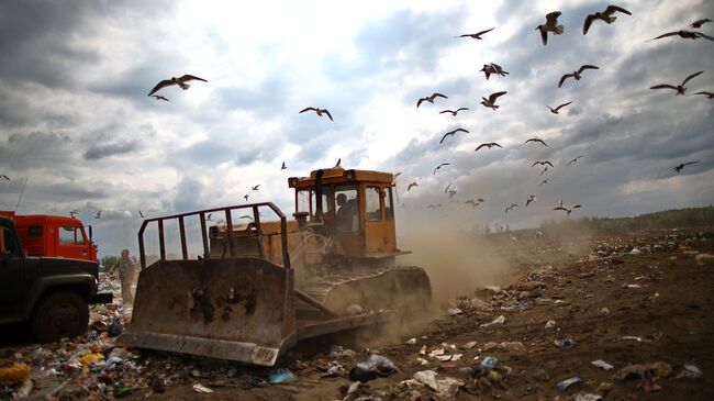 Рекультивация трех мусорных полигонов в Подмосковье завершится в 2018 году
