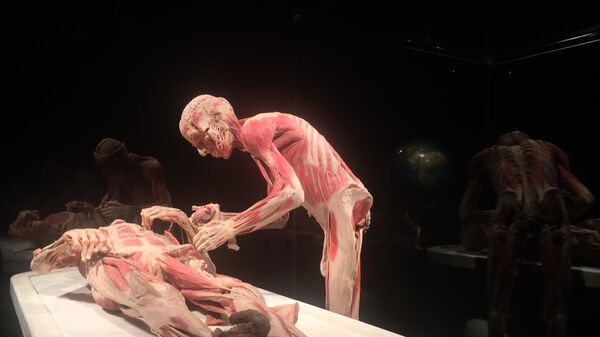 Открытие выставки Body Worlds в Женеве