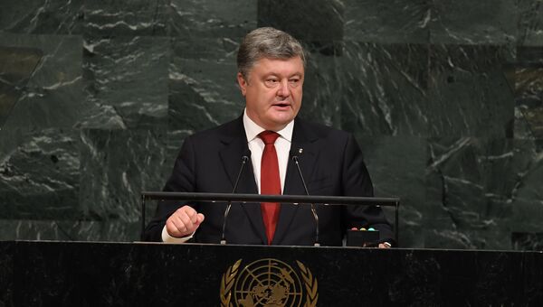 Президент Украины Петр Порошенко во время выступления на саммите Совета безопасности ООН. Архивное фото