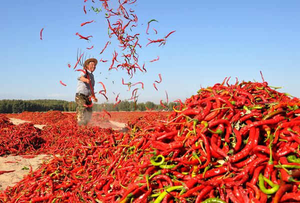 Мужчина раскидывает красный перец чили для просушки в Чжанъе, Китай