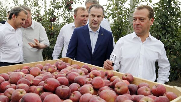 Рабочая поездка премьер-министра РФ Дмитрия Медведева в Адыгею. 22 сентября 2017