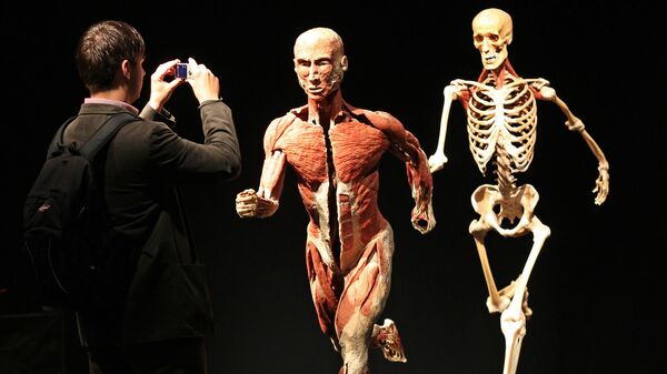 Анатомическая выставка реальных человеческих тел Body Worlds в Лейпциге, Германия. 3 июня 2010