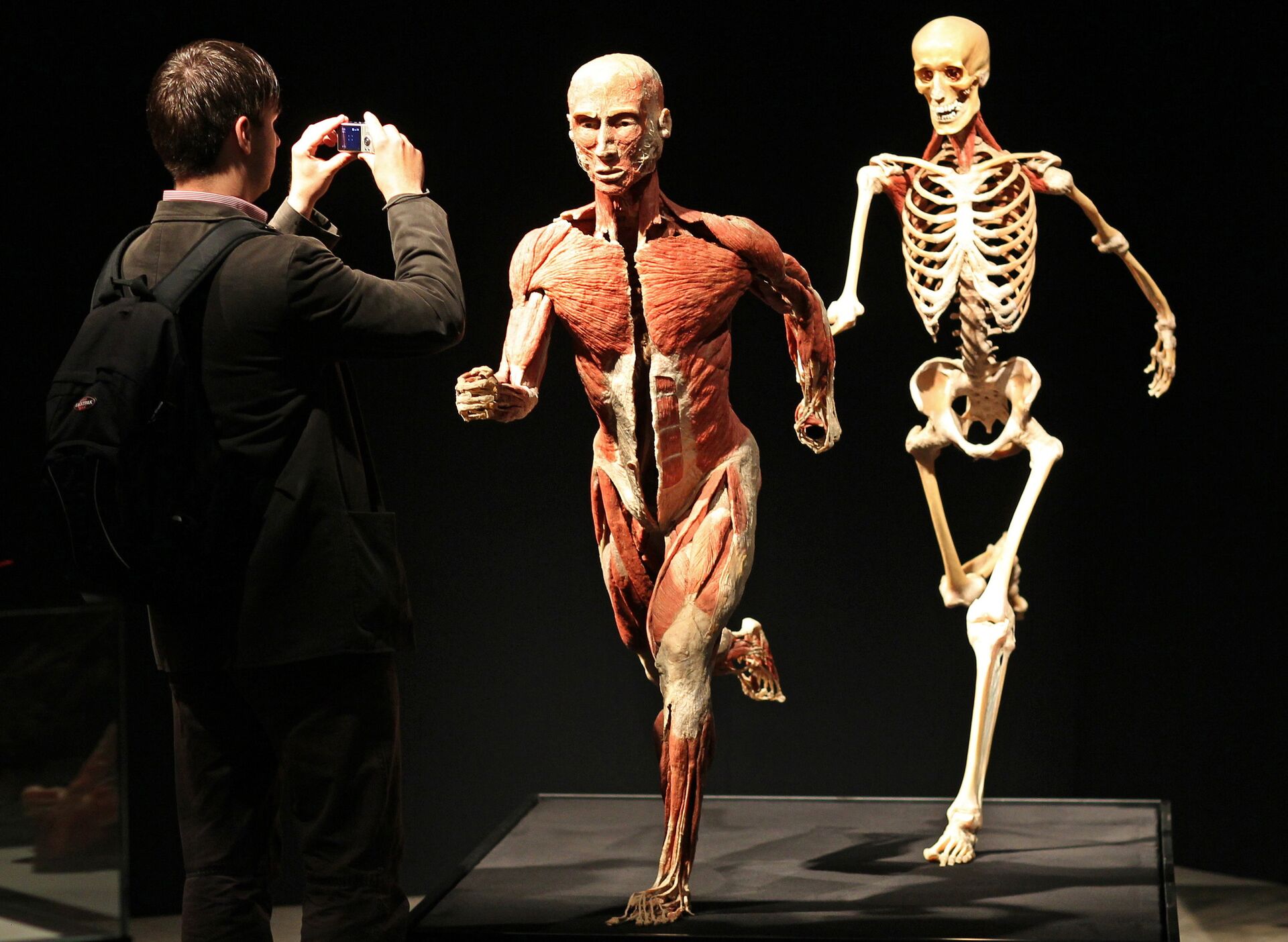 Анатомическая выставка реальных человеческих тел Body Worlds в Лейпциге, Германия. 3 июня 2010  - РИА Новости, 1920, 12.03.2021