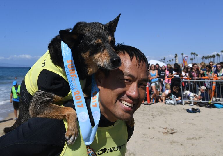 Ежегодный турнир по собачьему серфингу Surf City Surf Dog на пляже Хантингтон-Бич, Калифорния. 23 сентября 2017 года