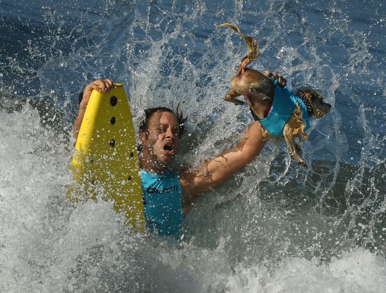 Ежегодный турнир по собачьему серфингу Surf City Surf Dog на пляже Хантингтон-Бич, Калифорния. 23 сентября 2017 года