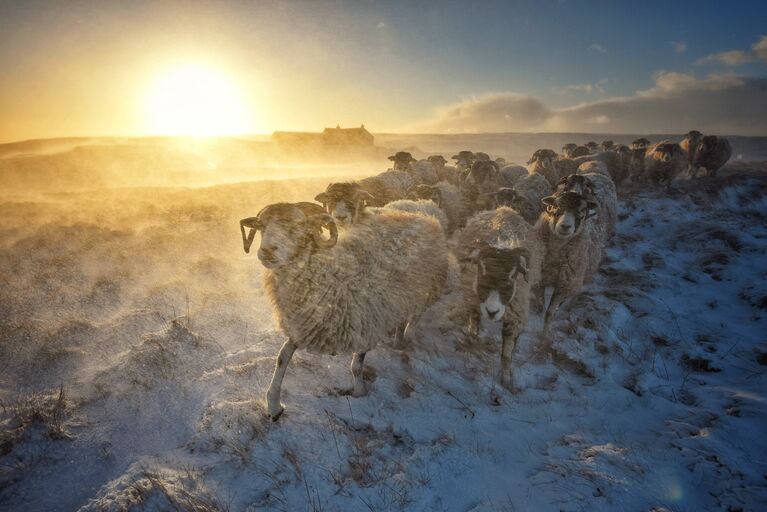 Работа участника конкурса Weather Photographer of the Year 2017